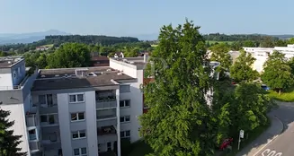 von_poll_real_estate_property_25062019_image_10