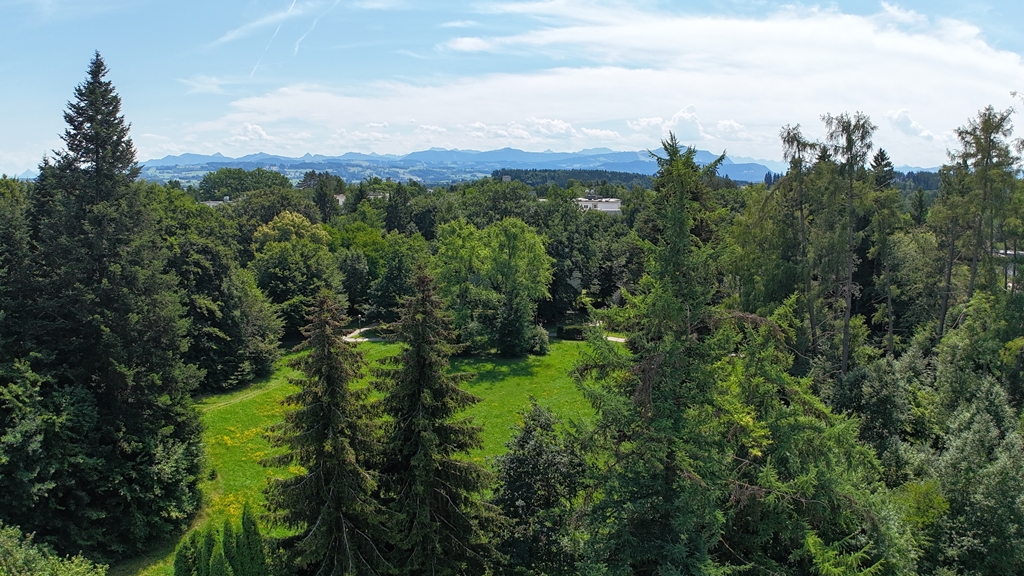 Ausblick von der großen Dachterrasse