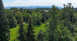 von_poll_real_estate_property_25062030_image_3