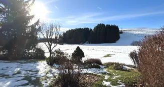 von_poll_real_estate_property_25062045_image_11