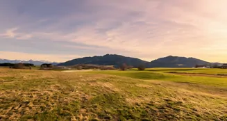 von_poll_real_estate_property_25062042_image_5