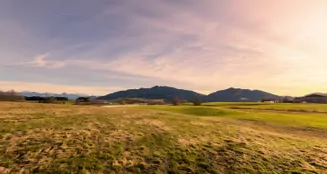 von_poll_real_estate_property_25062042_image_5