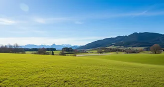 von_poll_real_estate_property_25062042_image_2