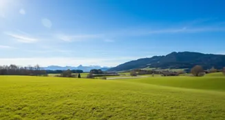 von_poll_real_estate_property_25062042_image_2