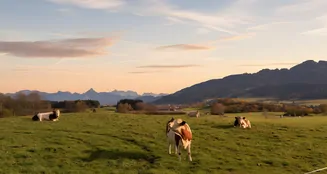 von_poll_real_estate_property_25062042_image_3