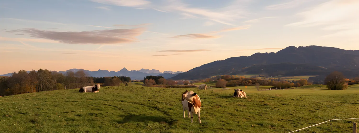 Sonnenaufgang Impression