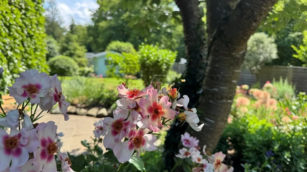 Gartenimpression