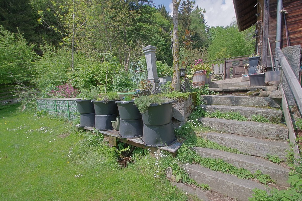 Ehemaliges Forstdienstgebäude mit Fernblick, perfekt zur Hundehaltung