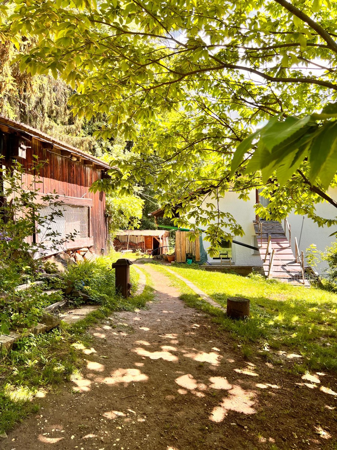 Großes Wohnhaus in Waldrandlage mit schöner Aussicht