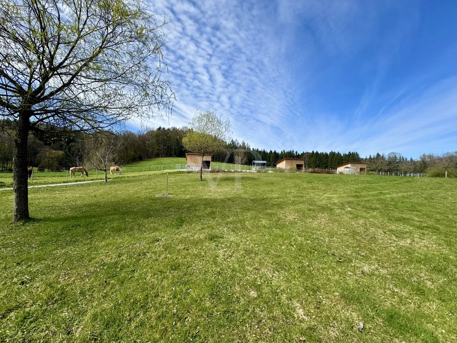 Weitläufige Ranch mit 16ha arrondierter Fläche und guter Verkehrsanbindung