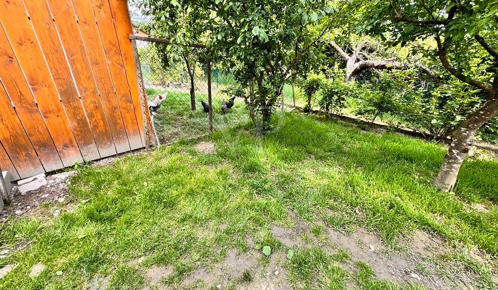 Hühnerstall 1
