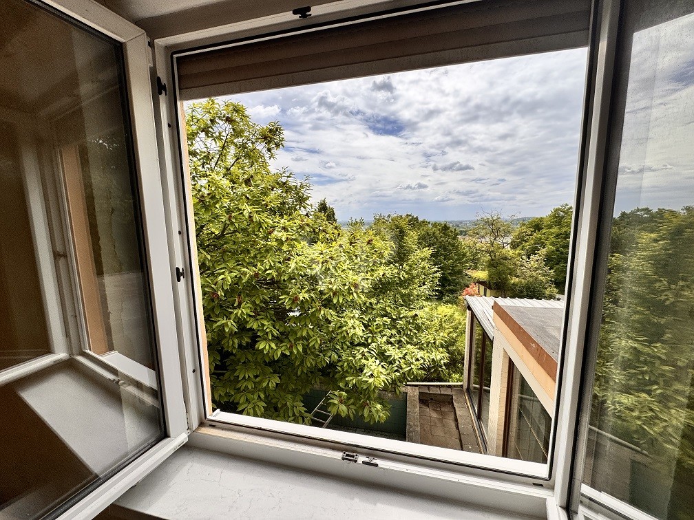 Wng. 3 Ausblick
