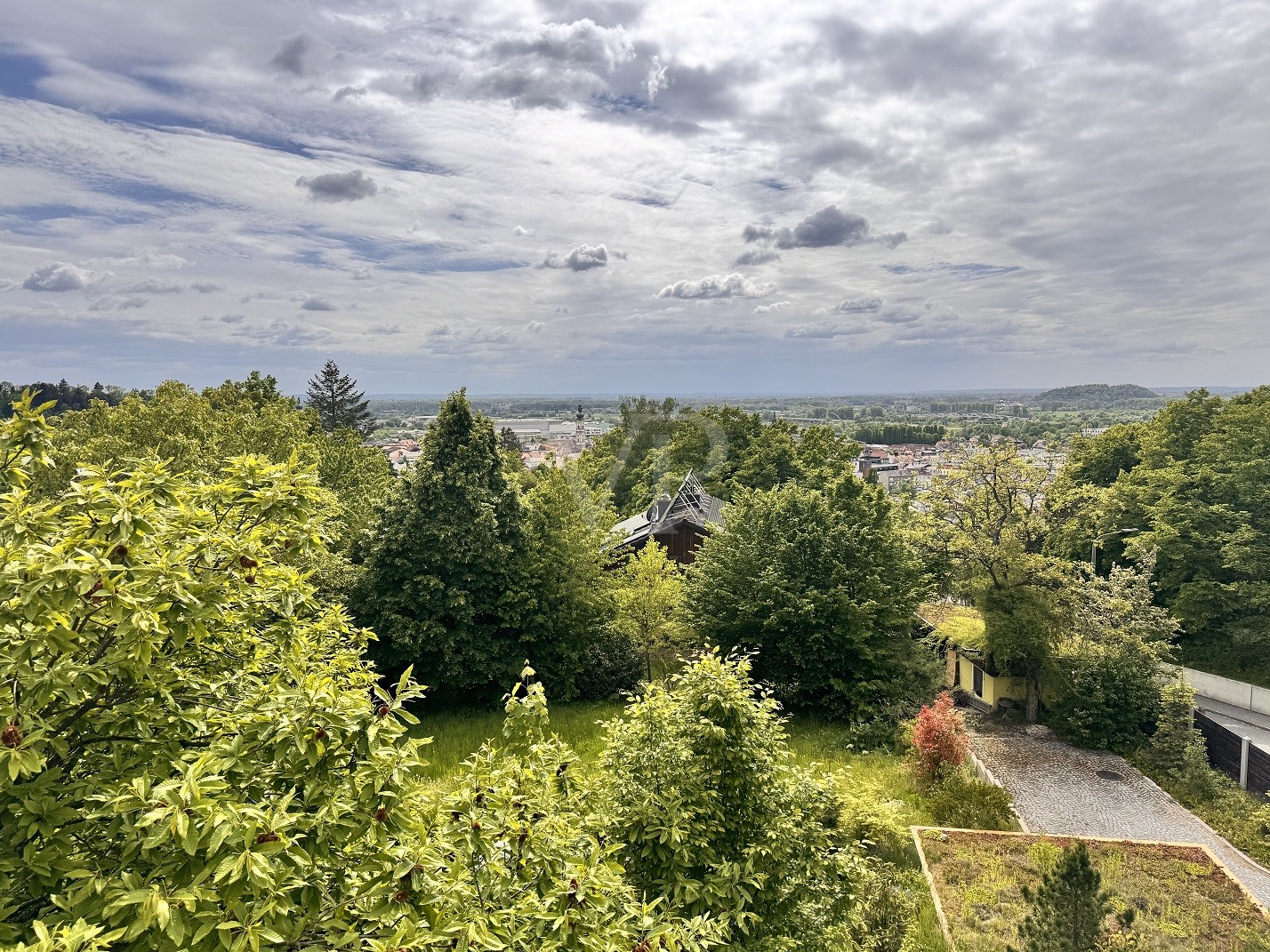 Ausblick DG