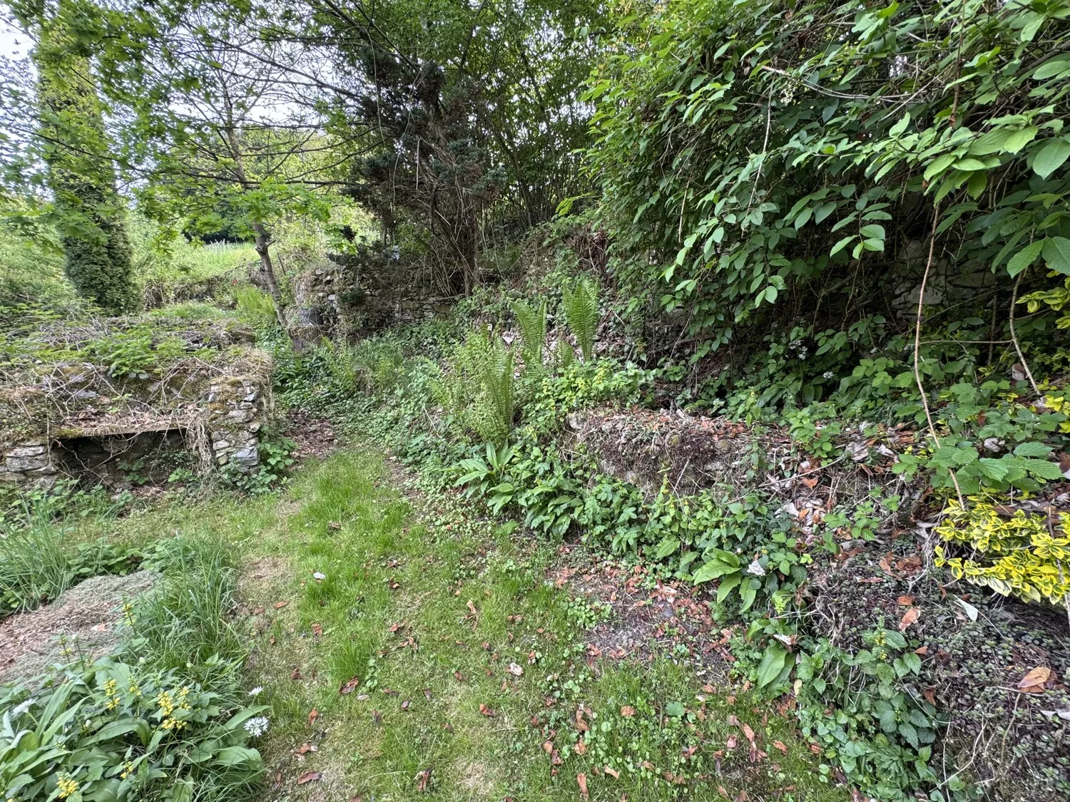 Einfamilienhaus in ruhiger und zentrumsnaher Lage