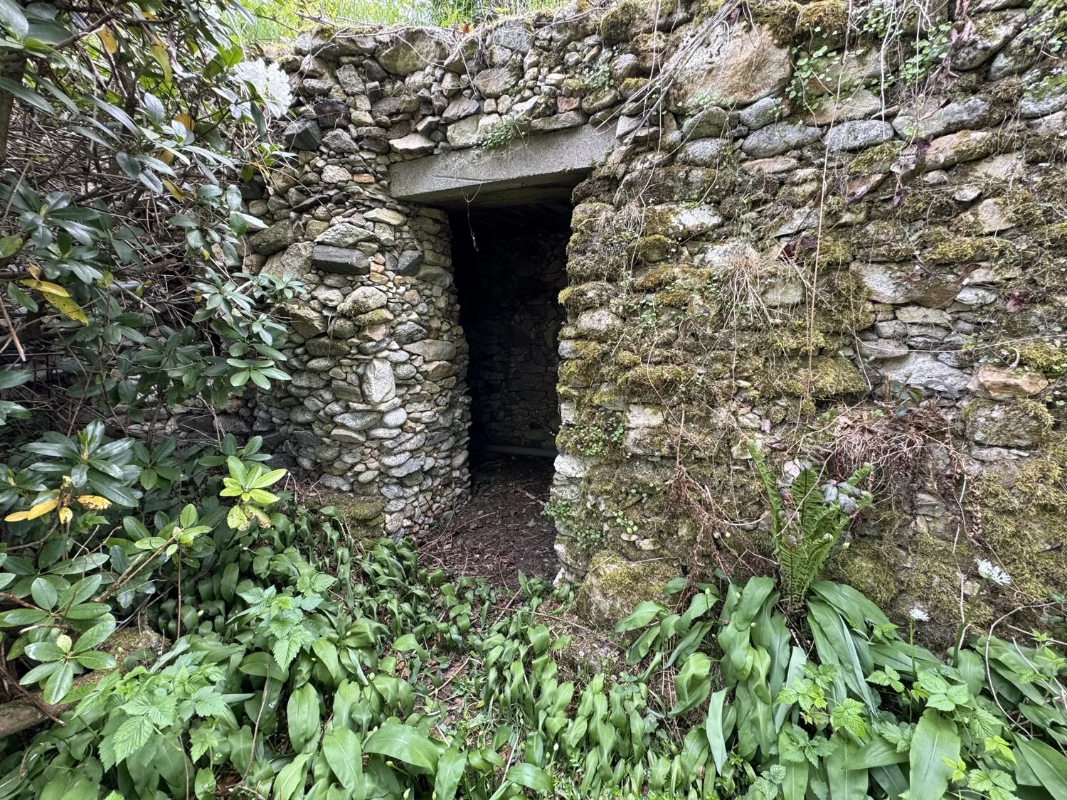 Einfamilienhaus in ruhiger und zentrumsnaher Lage