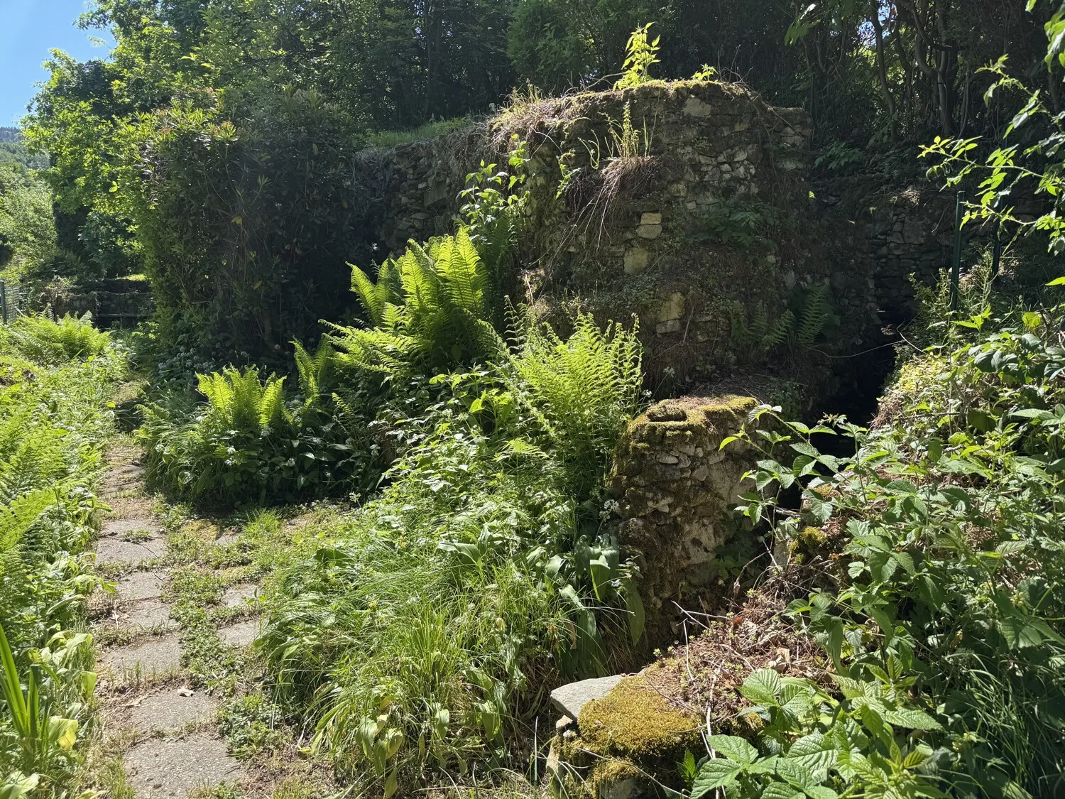 Garten