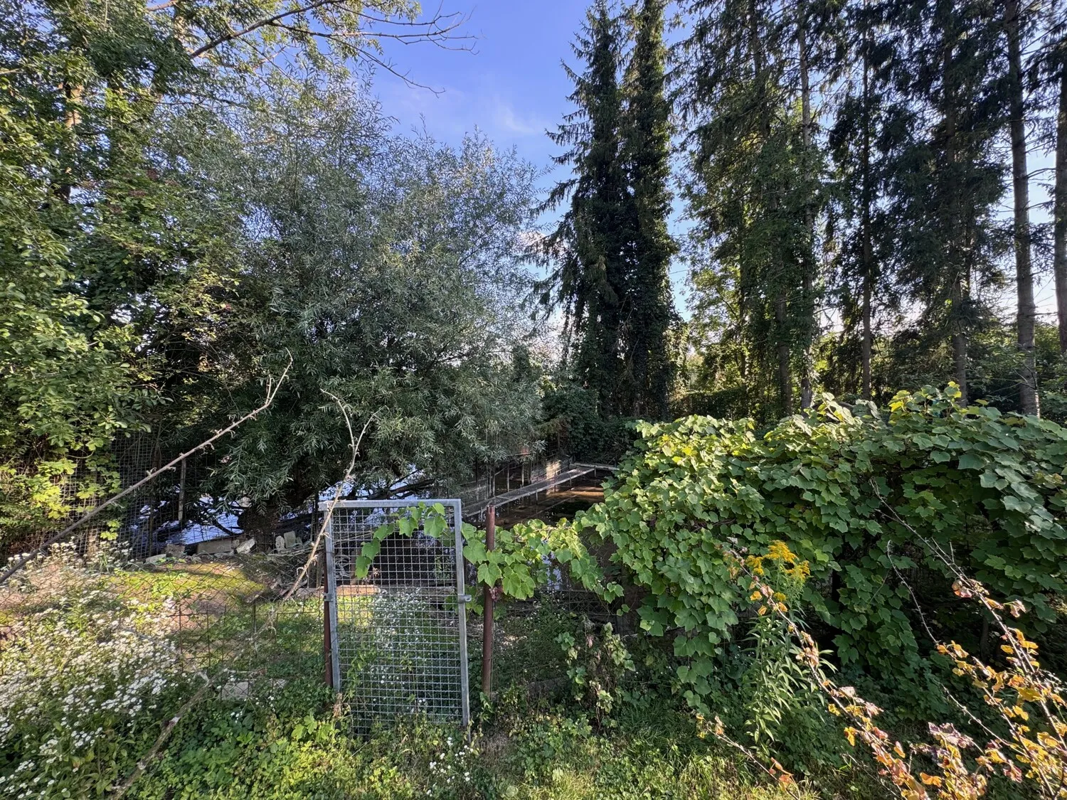 Grundstück mit Bienenhaus am Mühlbach