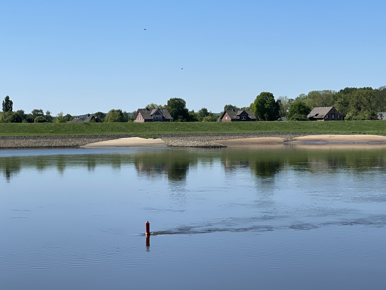 Lieblingsnachbar: Die Elbe!