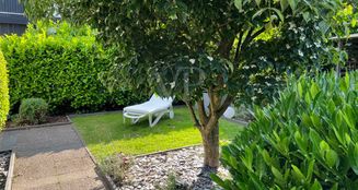 von_poll_real_estate_property_25028453_image_7