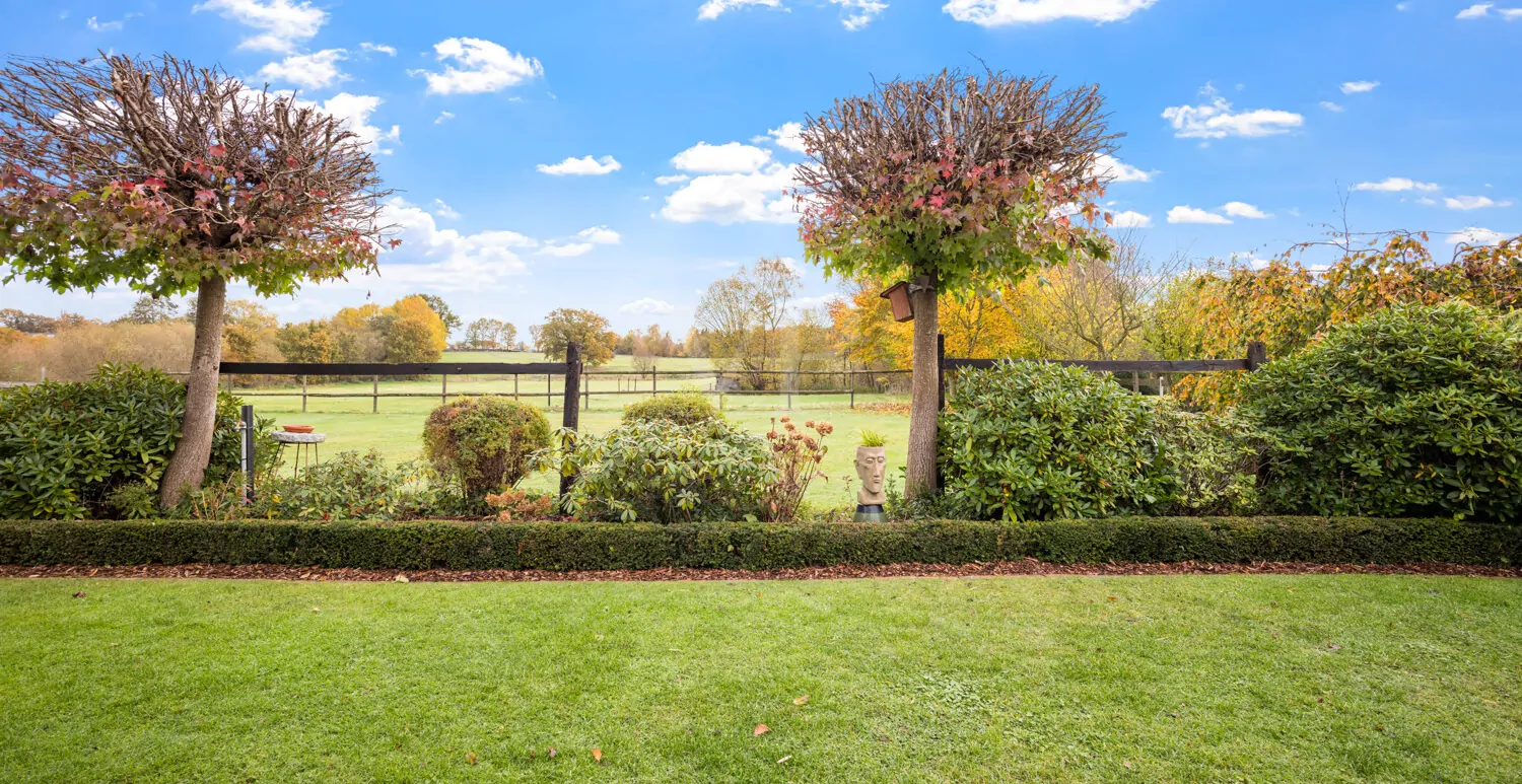 Blick von der Terrasse