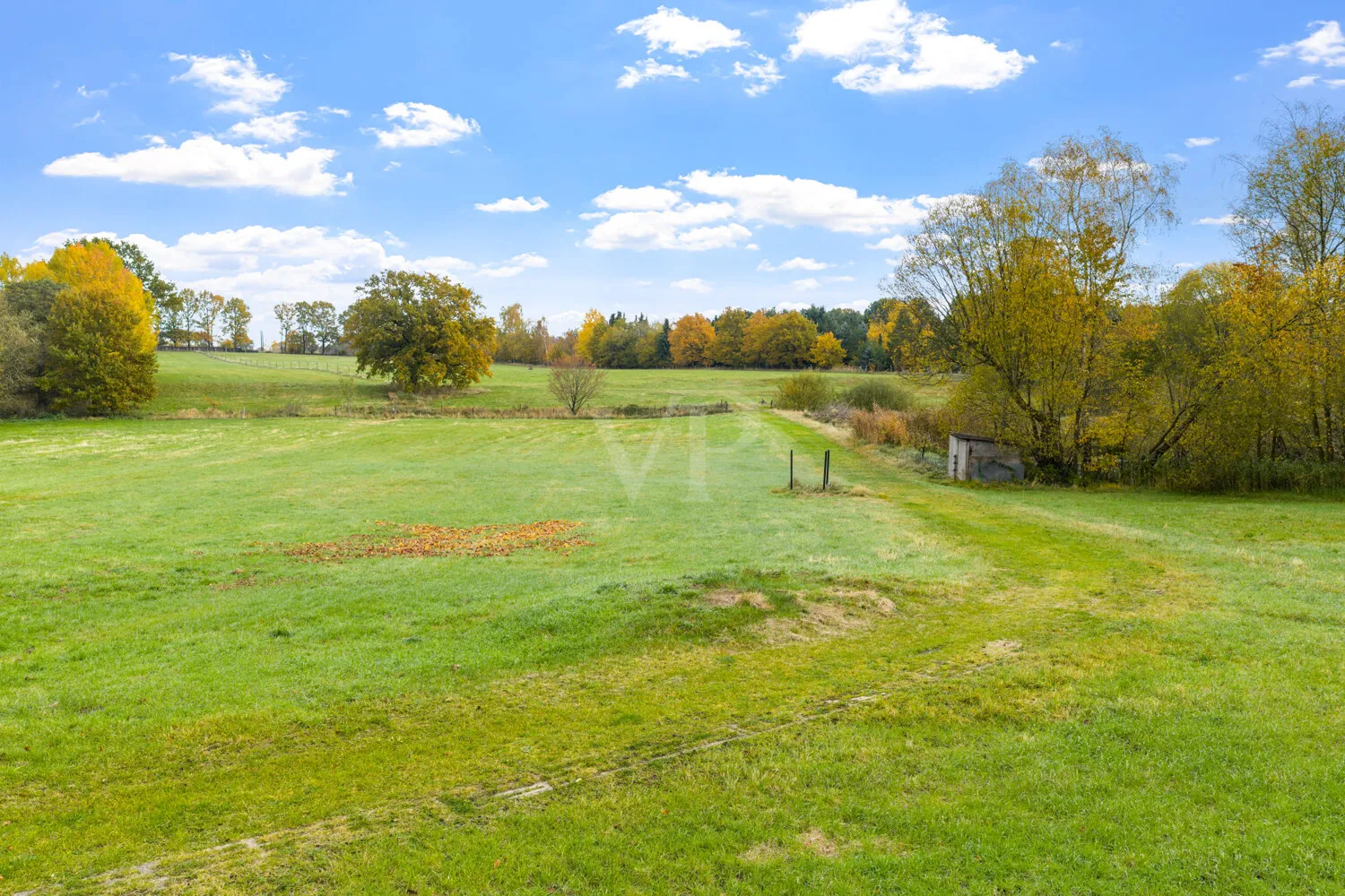 Das perfekte Ensemble- Bungalow, große Halle, Traumgrundstück!