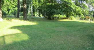 von_poll_real_estate_property_25028477_image_9