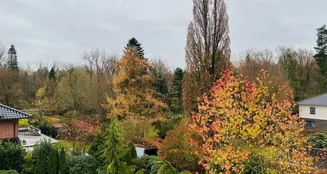 von_poll_real_estate_property_25028467_image_18