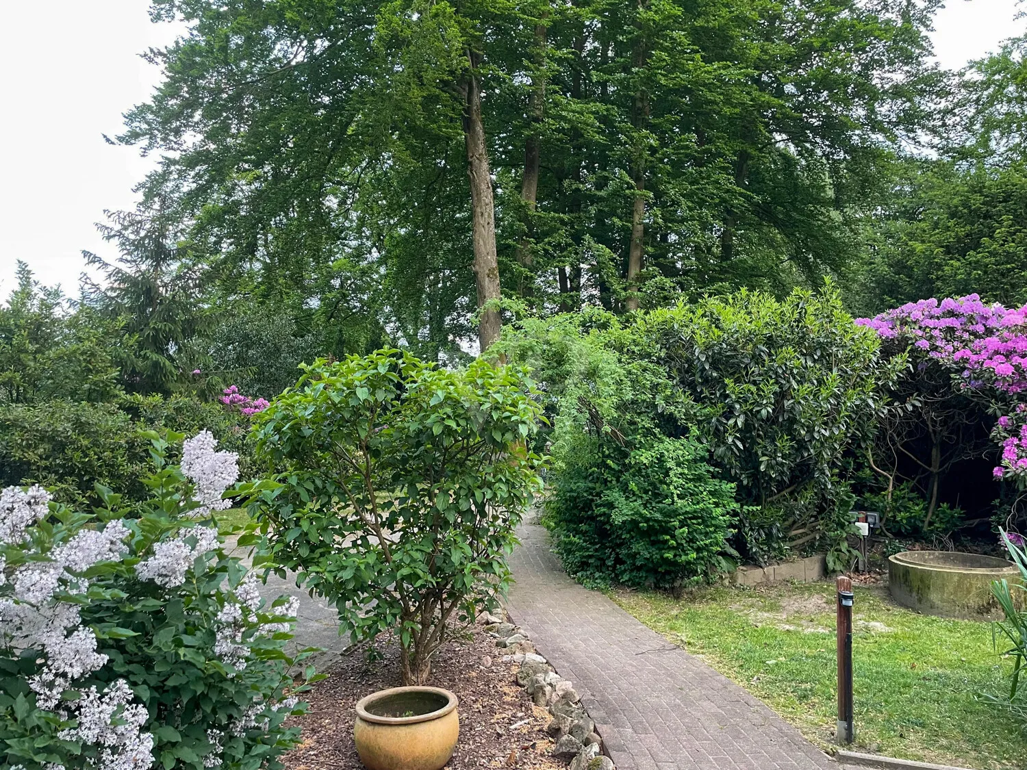 Impressionen