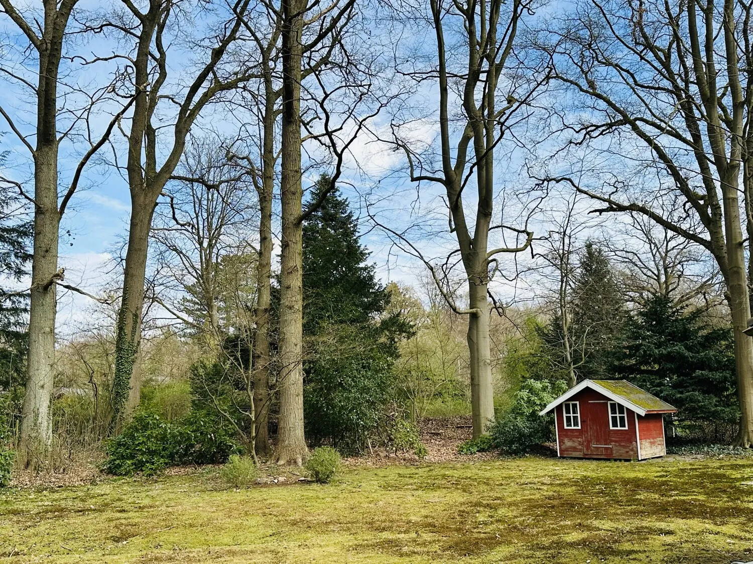 Gemeinschaftsgarten