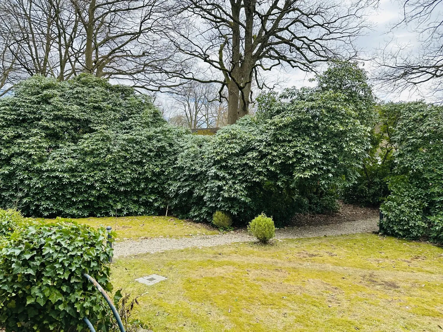 Vordergarten