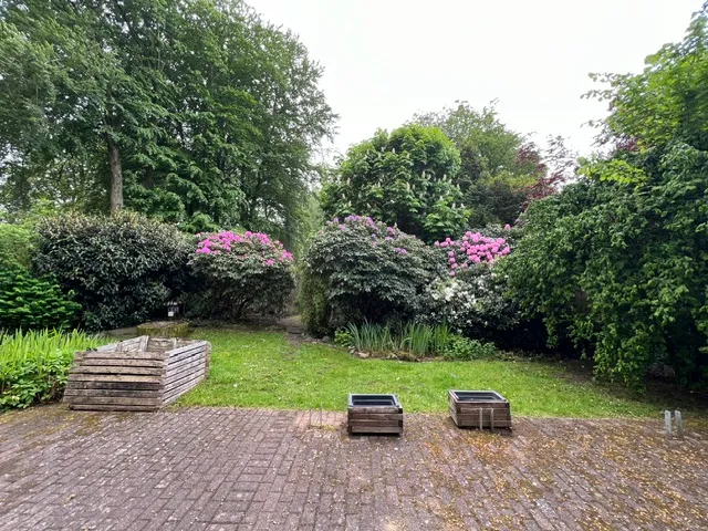 Garten/Terrasse