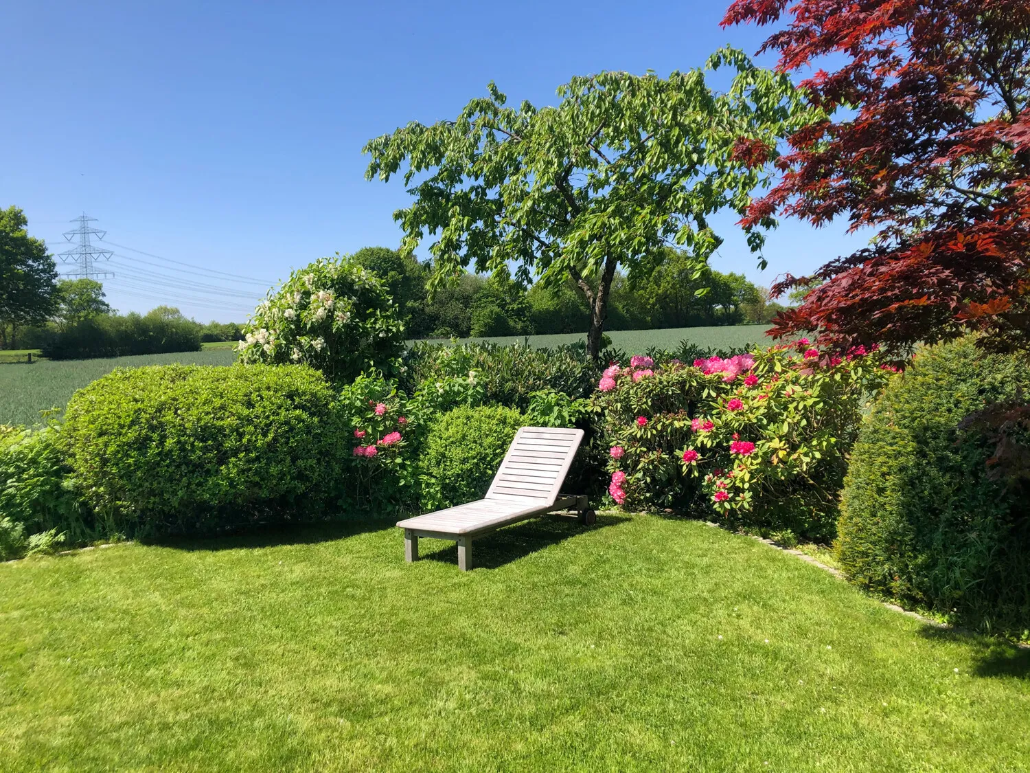 Sommer zum Genießen