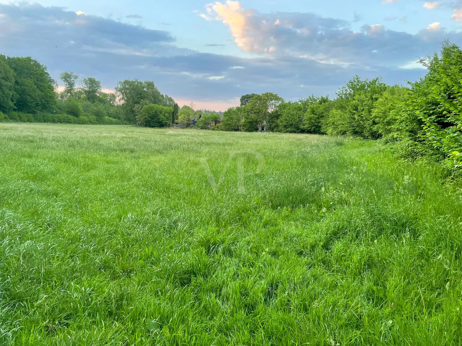 Natur Pur