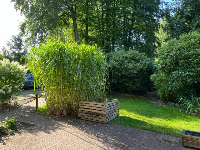 Blick von der Terrasse