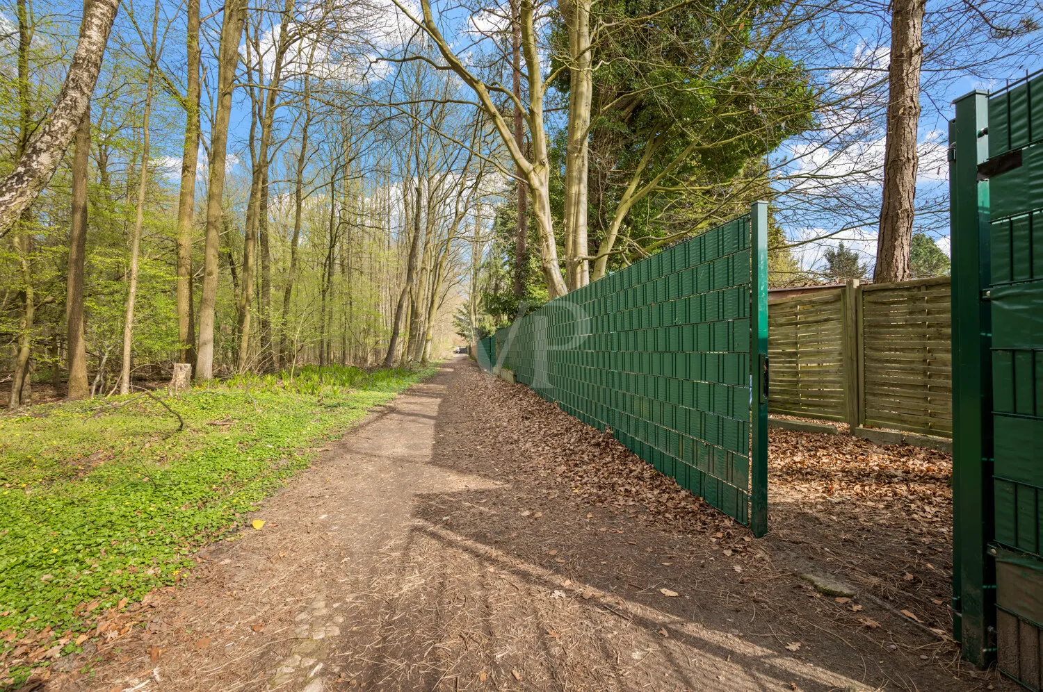 Direkt zum Joggen in den Wald