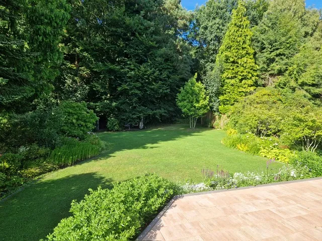 Blick in den Wald