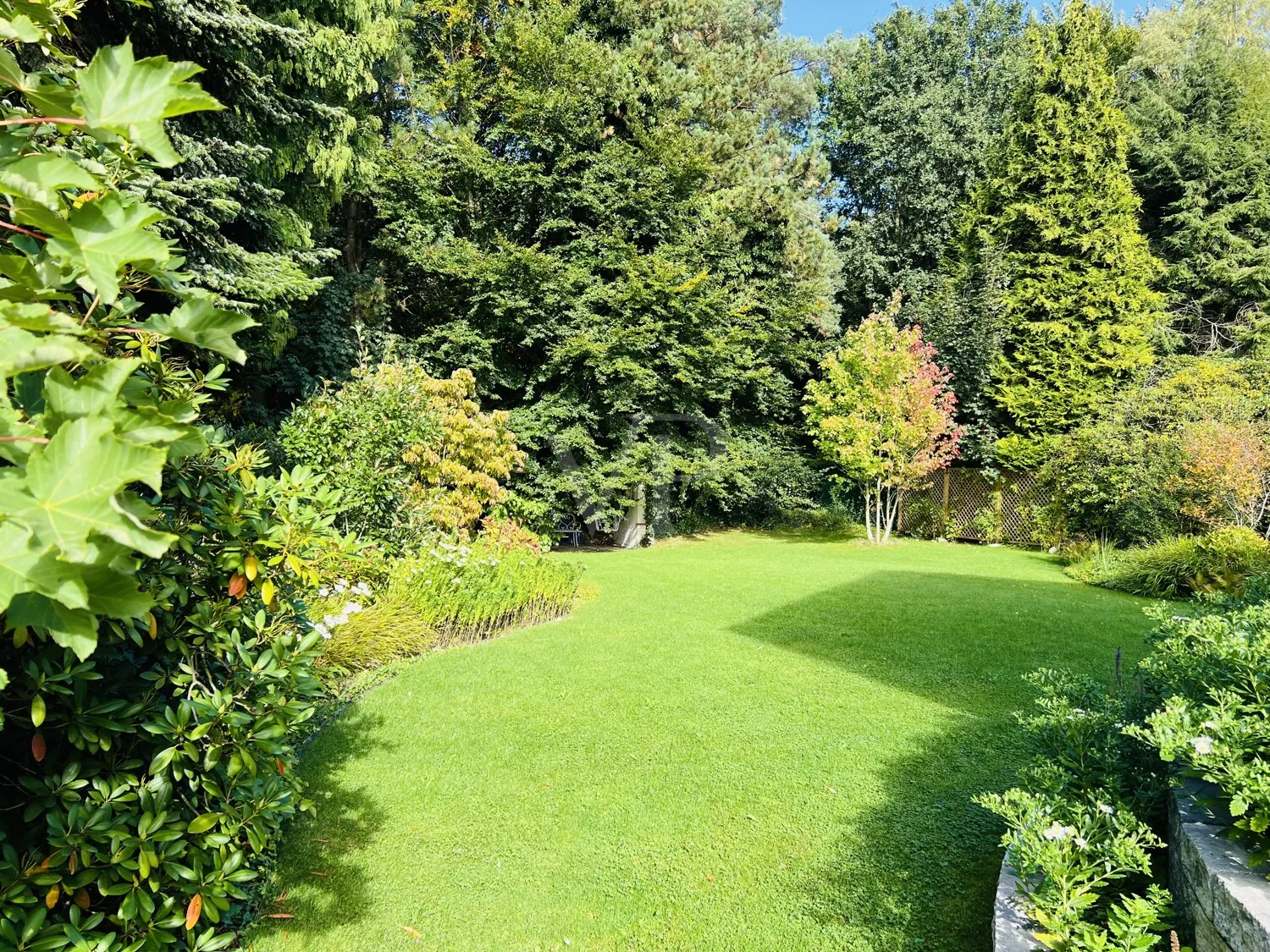 Blick zum Wald