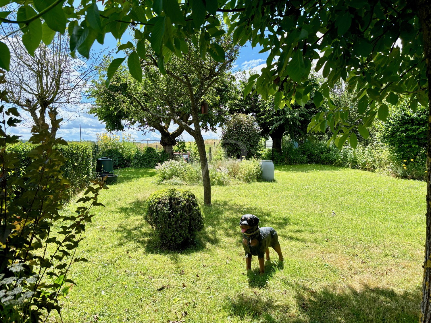 Garten mit Obstbäumen