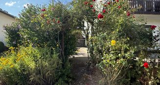 von_poll_real_estate_property_25148024_image_7