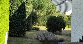 von_poll_real_estate_property_25148024_image_6