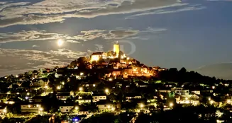 von_poll_real_estate_property_25148017_image_14