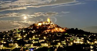 von_poll_real_estate_property_25148017_image_14