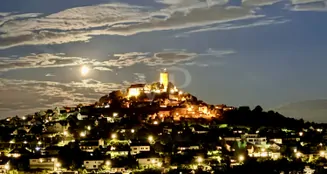 von_poll_real_estate_property_25148017_image_14