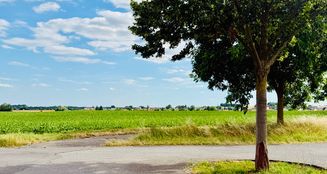von_poll_real_estate_property_25148026_image_9