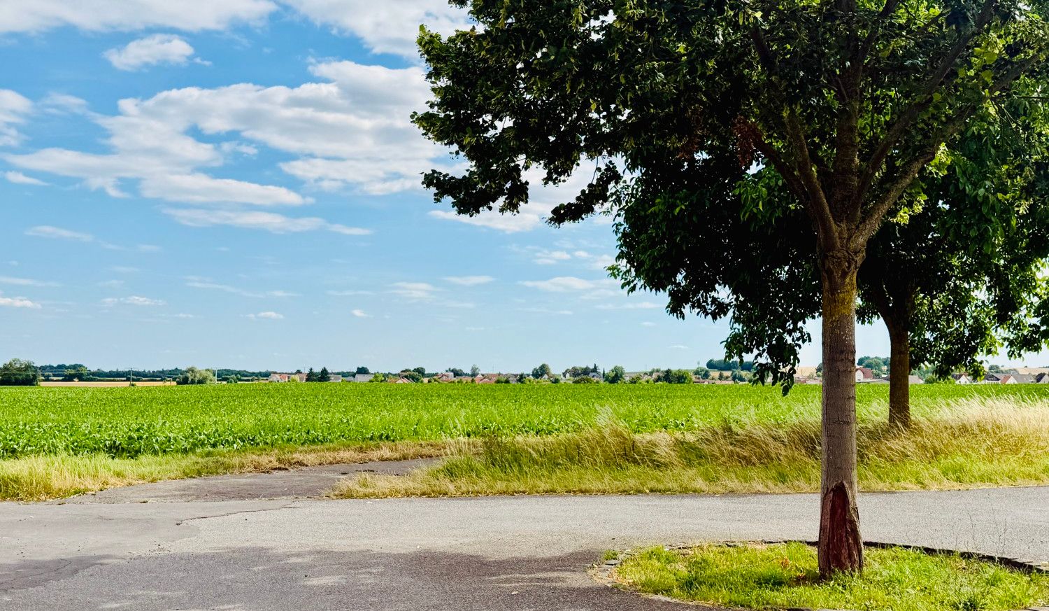 Ausblick