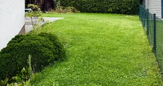 von_poll_real_estate_property_25148040_image_7