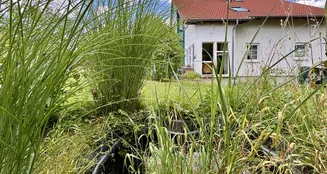 von_poll_real_estate_property_25148030_image_11