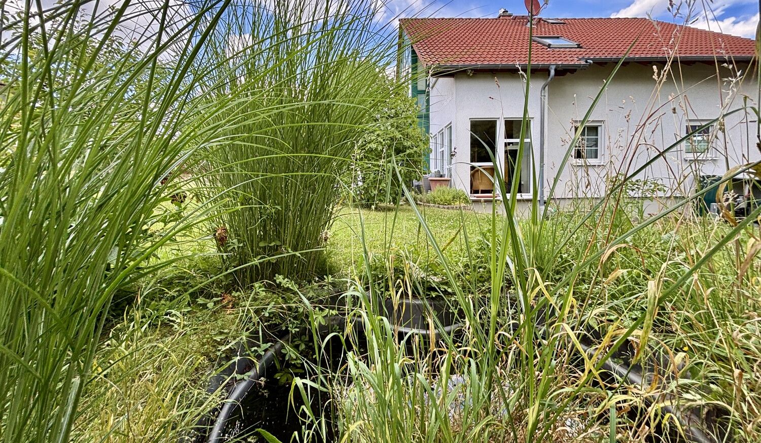 Gartendetail