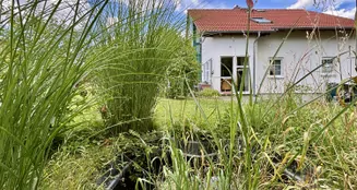 von_poll_real_estate_property_25148030_image_12