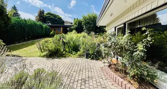 von_poll_real_estate_property_25148033_image_5